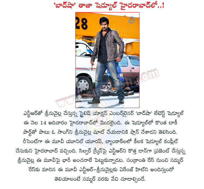 baadshah,jr ntr,baadshah movie shooting details,jr ntr movie,young tiger ntr movie baadshah,srinu vytla with jr ntr,baadshah movie shooting in hyderabad,hyderabad,baadshah telugu movie  baadshah, jr ntr, baadshah movie shooting details, jr ntr movie, young tiger ntr movie baadshah, srinu vytla with jr ntr, baadshah movie shooting in hyderabad, hyderabad, baadshah telugu movie